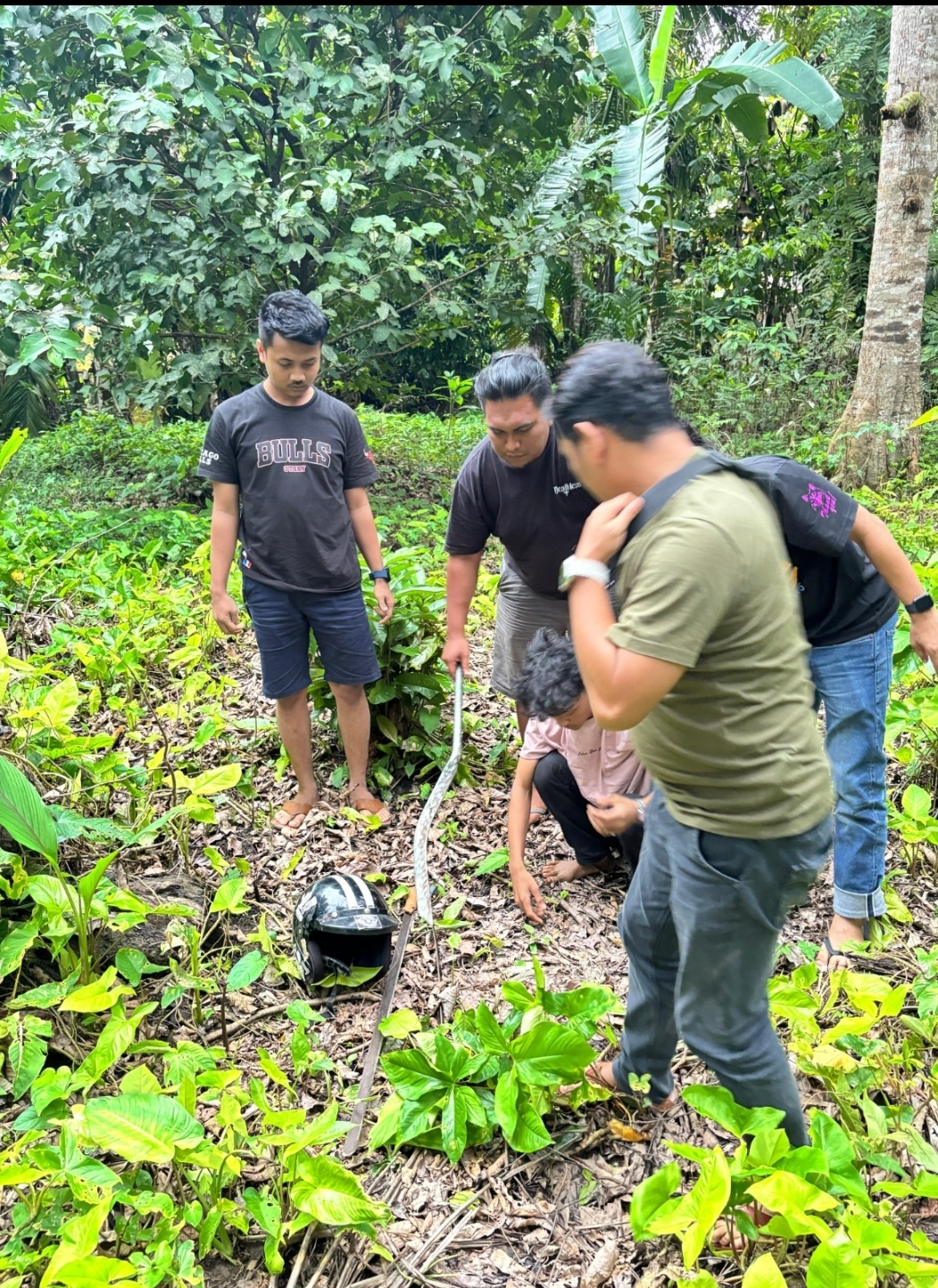 Kurang Dari 24 Jam, Polres Pessel Berhasil Amankan Pelaku Tindak Pidana Pengancaman Dengan Mengunakan Senjata Tajam di Wilayah Kec. Batang Kapas.