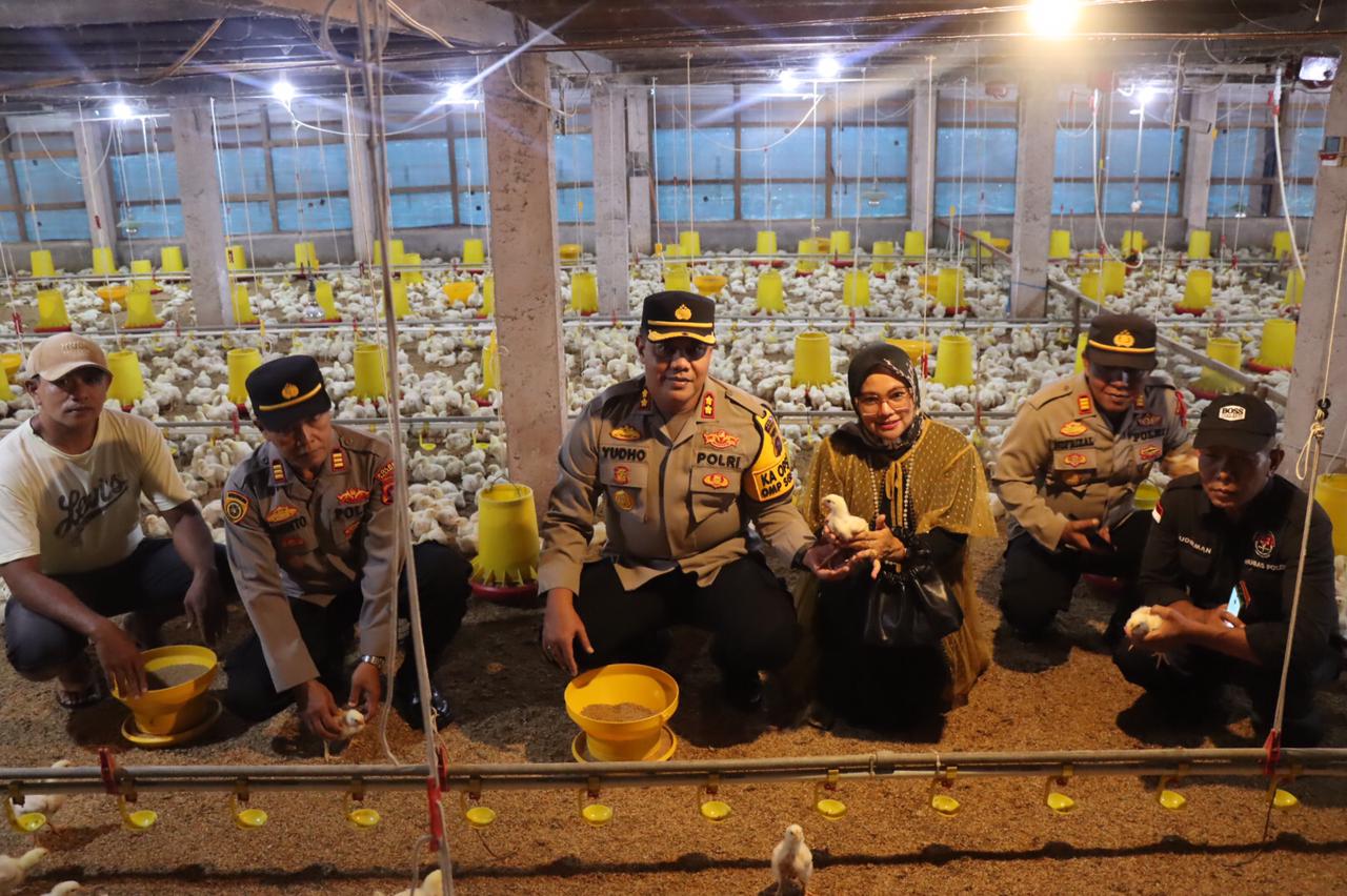 Kapolres Pasaman AKBP Yudho Huntoro, S.I.K. M.I.K. Kunjungi dan Bina Tambak Ikan serta Peternakan Ayam Milik Anggota Polres Pasaman