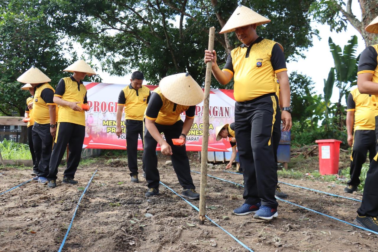 Manfaatkan Lahan Kosong dan Pencapaian Target Swasembada Pangan, Polres Pasaman Barat Gelar Penanaman Benih Jagung