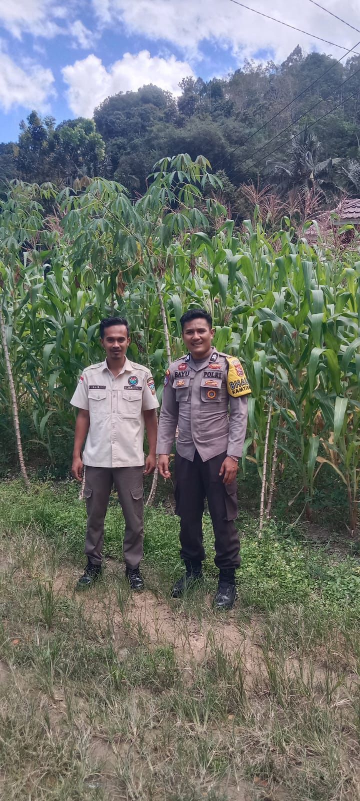 Bhabinkamtibmas Jadi Petani Inspiratif: Ketahanan Pangan ala Prabowo Bersemi di Solok Selatan