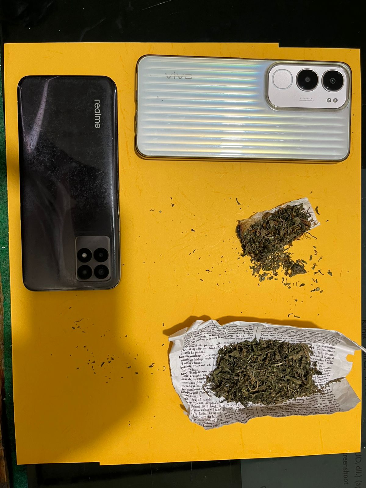 Gempur Narkoba! Polres Solok Selatan Tangkap 4 Pelaku Ganja di Pauh Duo