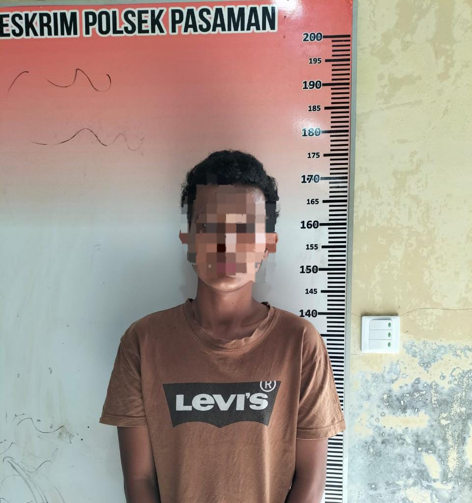 Lakukan Pemerasan dan Penganiayaan, Seorang Pemuda di Pasaman Barat Diringkus Polisi