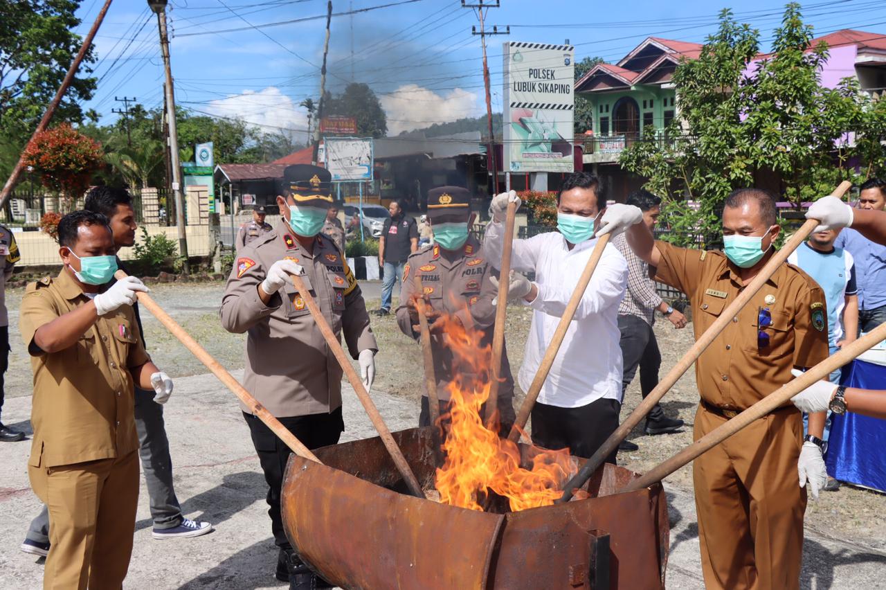 Sat Resnarkoba Polres Pasaman Musnahkan Barang Bukti 10 Paket Besar Ganja