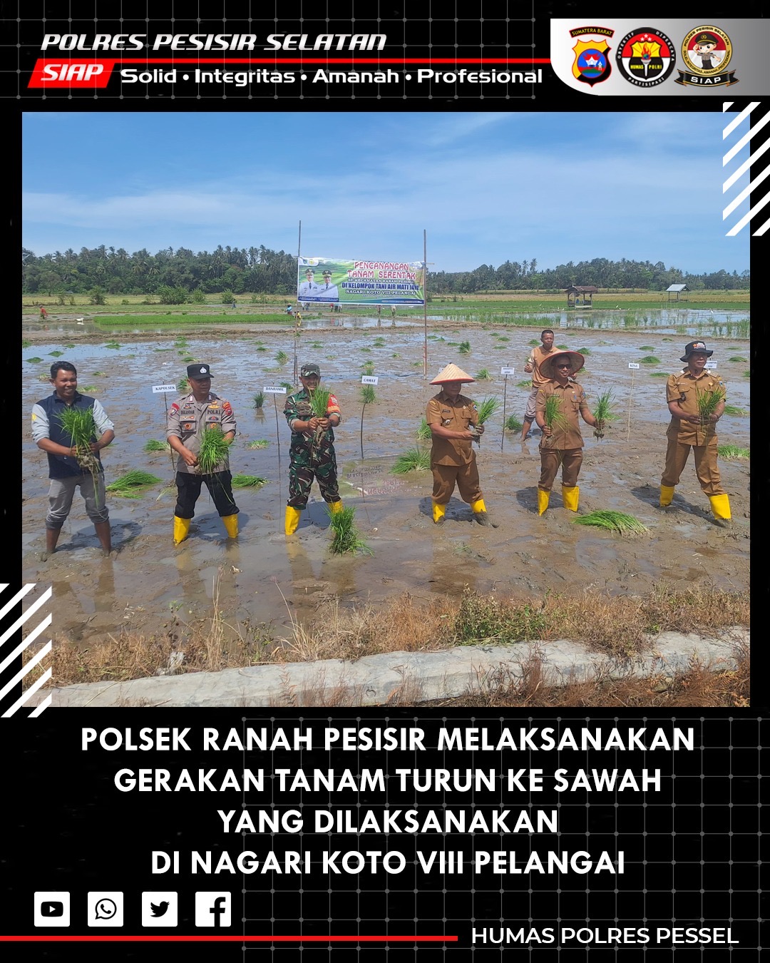 Polsek Ranah Pesisir Hadiri Kegiatan Pencanangan Gerakan Tanam Turun Kesawah di Nagari Koto VIII Pelangai