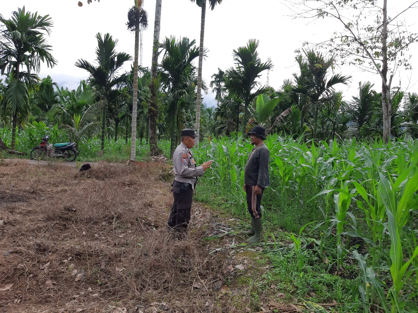 Bhabinkamtibmas sosialisasi Kepada Masyarakat N Tentang Ketahanan Pangan 