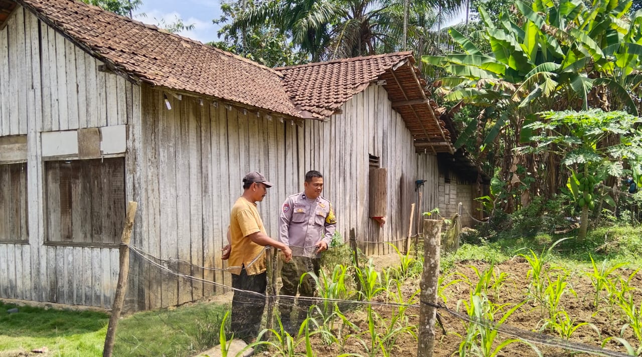 Polisi Ajak Warga Tanam Sayur di Pekarangan Rumah