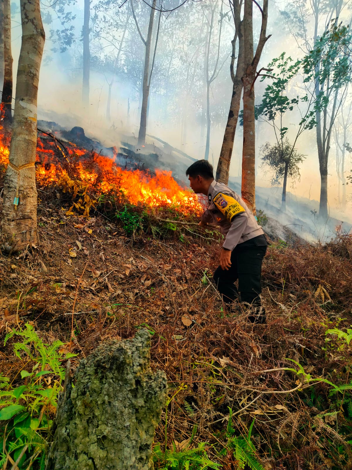 Bhabinkamtibmas Nagari Maek Turun Langsung Padamkan Kebakaran Lahan di Bukik Padang Macang