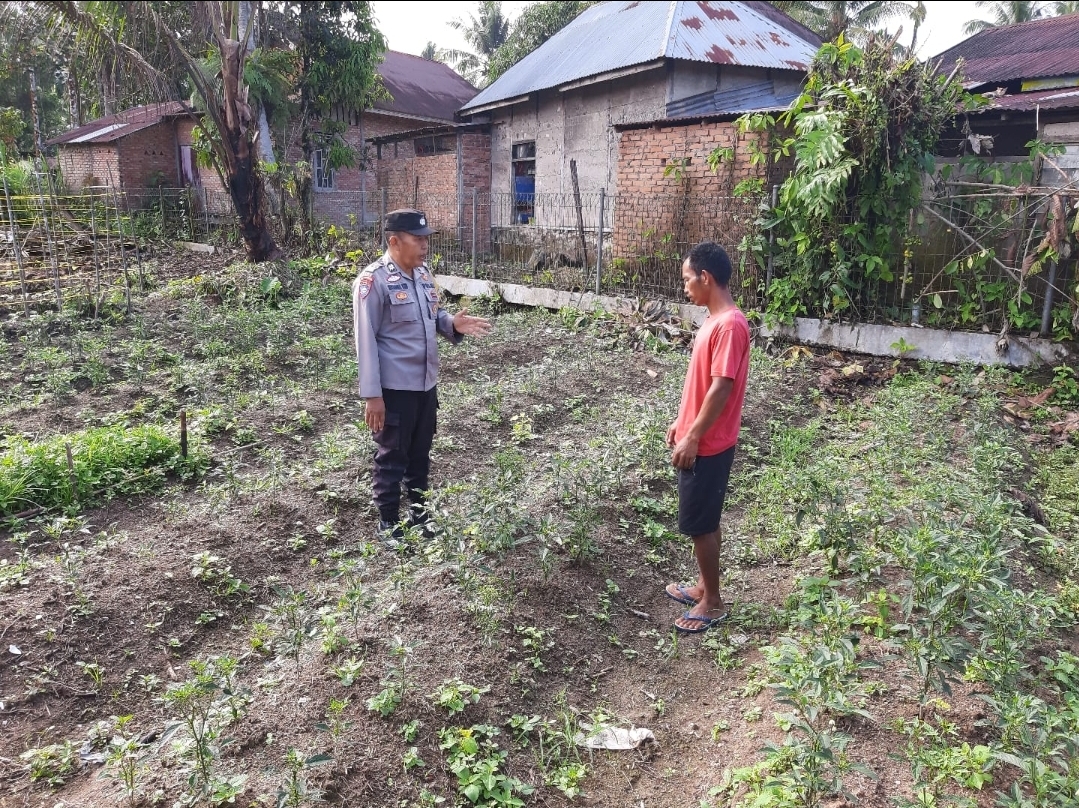 Dukung Asta Cita Presiden, Bhabinkamtibmas Polsek Bonjol Ajak Warga Ganggo Hilia Perkuat Ketahanan Pangan